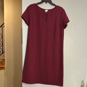 Elegant Burgundy Dress